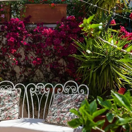 Treasurerome Daphne Terrace Apartament Rzym