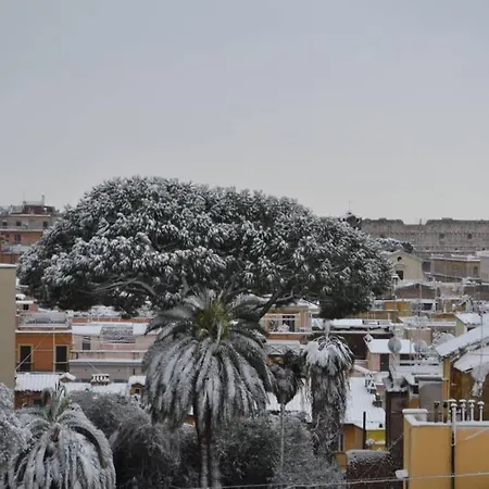 Treasurerome Daphne Terrace Rzym