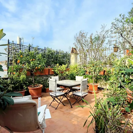Treasurerome Daphne Terrace Rom