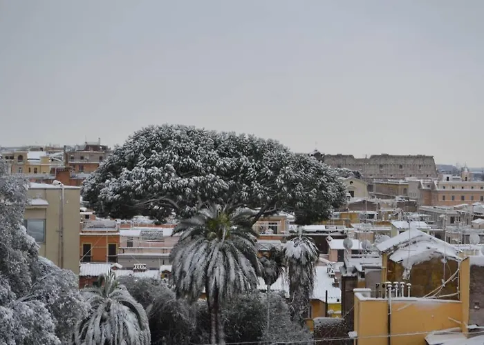 Treasurerome Daphne Terrace Rom